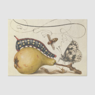 Hoefnagel Vintage Pear & Insects 1500s Renaissance Tissue Paper