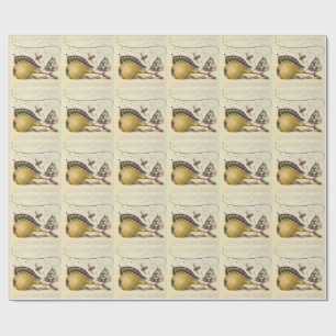 Hoefnagel Vintage Pear & Insects 1500s Renaissance Wrapping Paper