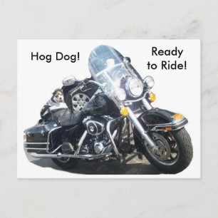 Hog Dog - Ready to Ride! Postcard
