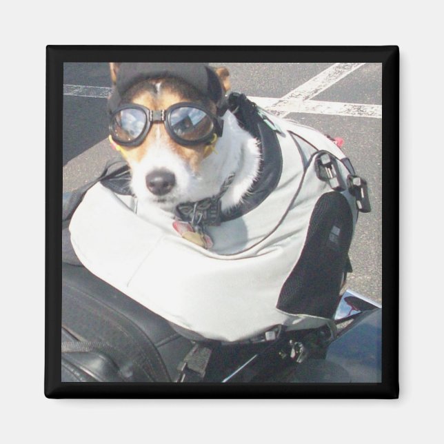 Hog Dog Refrigerator Magnet (Front)