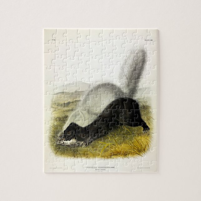 Hog-nosed Skunk (Texan Skunk) Audubon's Quadrupeds Jigsaw Puzzle (Vertical)