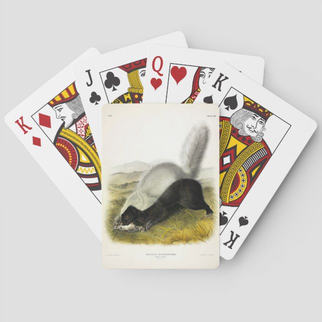 Hog-nosed Skunk (Texan Skunk) Audubon's Quadrupeds Playing Cards (Back)