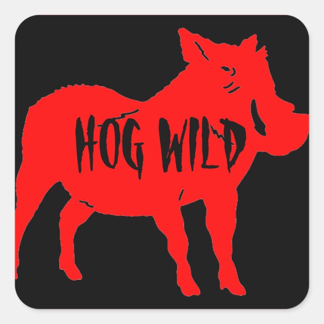 HOG WILD HELMET STICKERS PKG OF 20 (Front)
