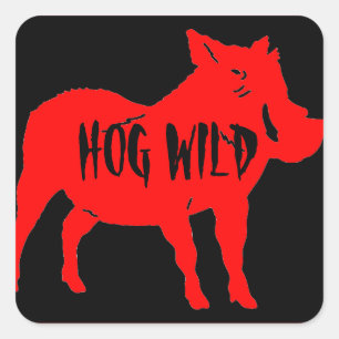 HOG WILD HELMET STICKERS PKG OF 20