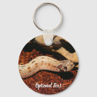 Hognose Pet Snake