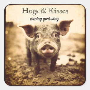 Hogs & Kisses Sweet Farmhouse Piglet Square Sticker