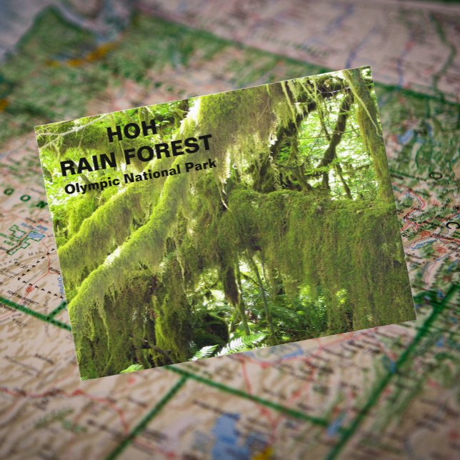 Hoh Rain Forest Travel Photo Postcard (In Situ Map)