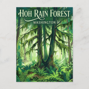 Hoh Rain Forest Washington Postcard