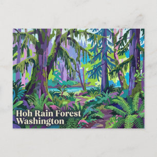 Hoh Rain Forest Washington USA Postcard
