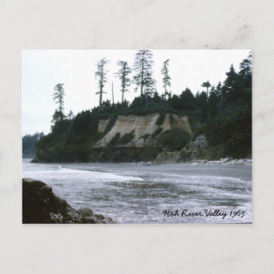 Hoh River Valley  1965 Postcard