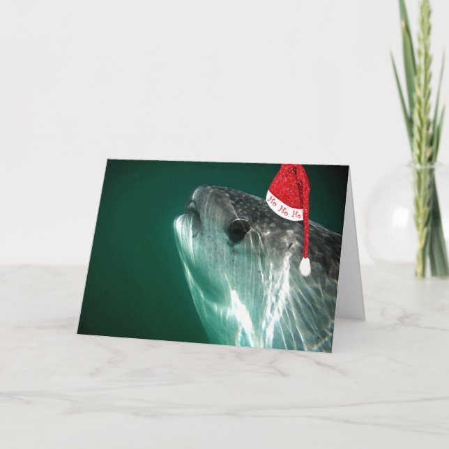 HoHoHo Whale Shark Holiday Card (Front)