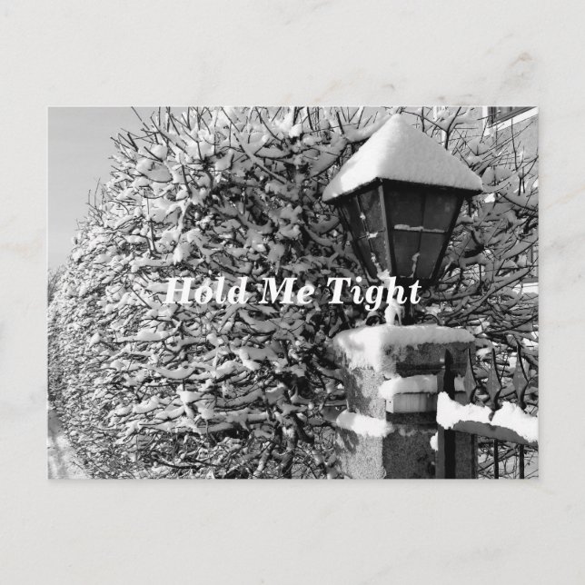 Hold Me Tight Postcard (Front)