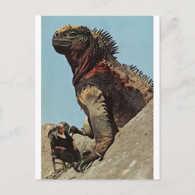 Hold on tight - postcard (Front)