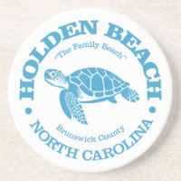 Holden Beach (sea turtle)