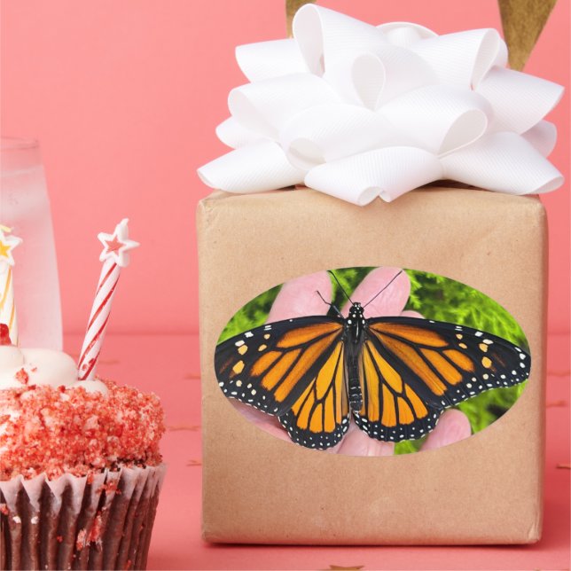 Holding a monarch butterfly oval sticker (Party)