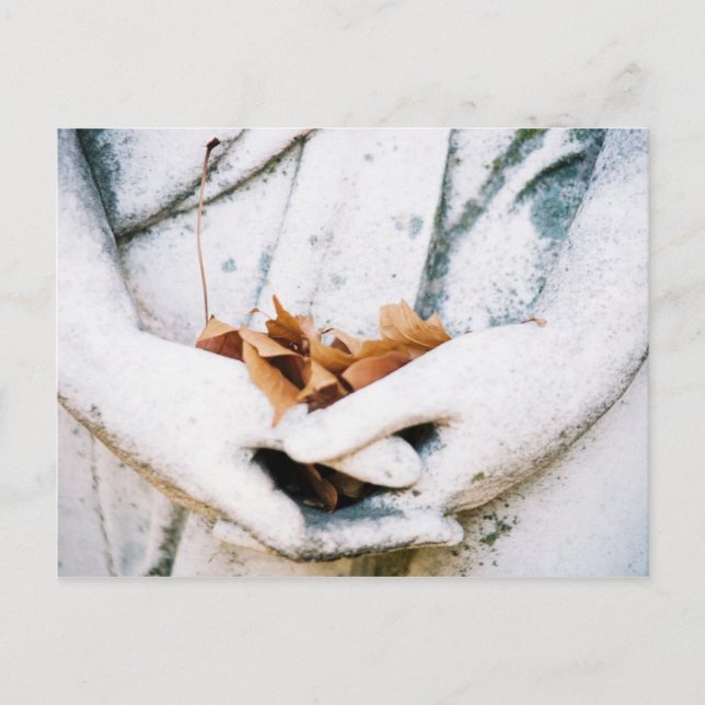 Holding Postcard (Front)