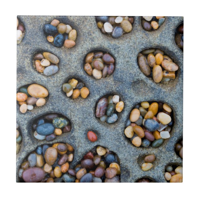 Holes filled with pebbles, CA Tile (Front)