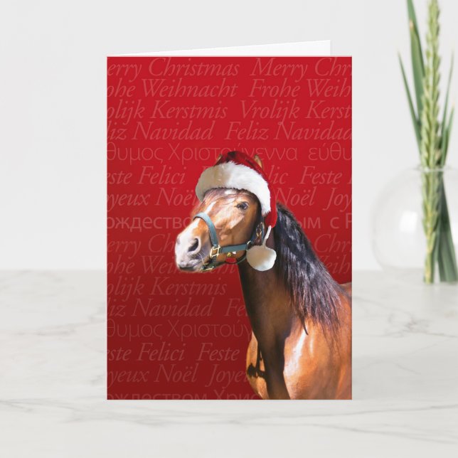 Holiday Bay Card (Front)