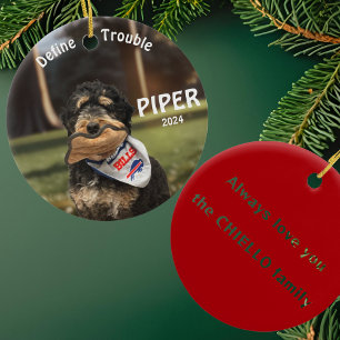 Holiday Bernese Mountain Dog Photo Ornament