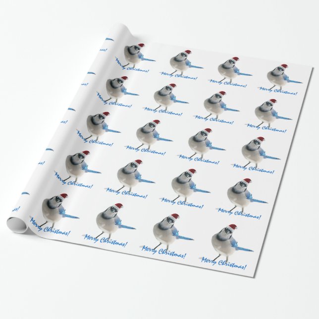Holiday Blue Jay Wrapping Paper (Unrolled)