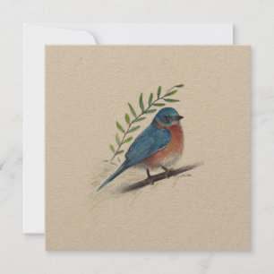 Holiday Bluebird Art Bird Card