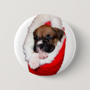 Holiday boxer puppy button