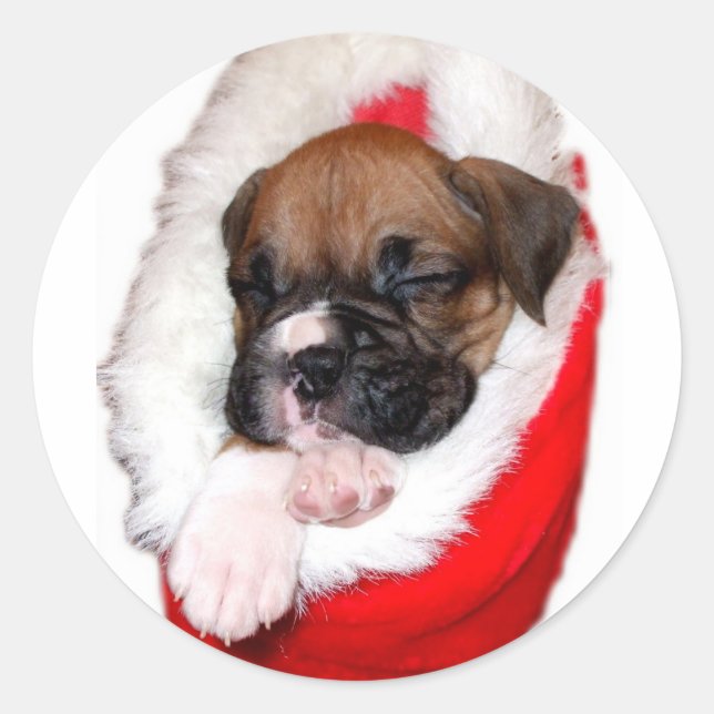 Holiday boxer puppy sticker (Front)