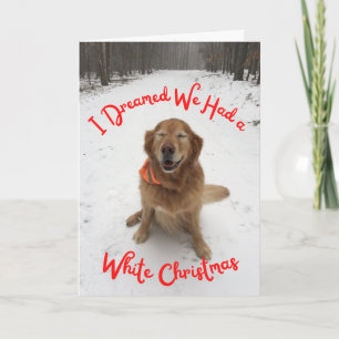 Holiday card Dog dreaming of White Christmas