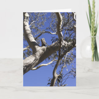 Holiday card, Everglades Card