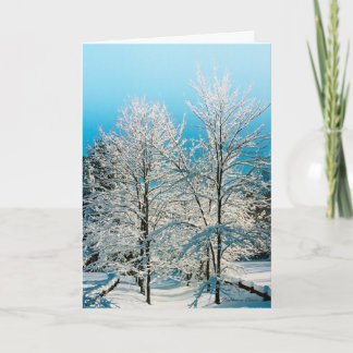 ***Holiday Card: Nature full of divinity. Holiday Card