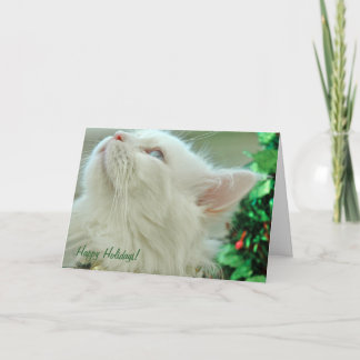 Holiday Card "Not a creature was stirring"