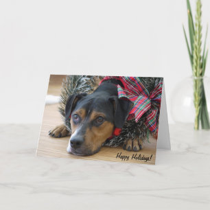 Holiday Card "Santa's Cookies?"