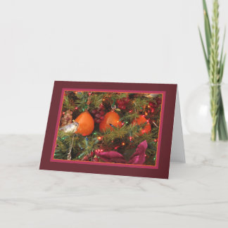 Holiday Card: Three Persimmons Card
