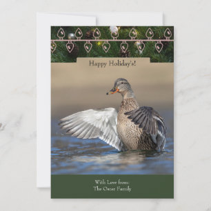 Holiday Card with a Mallard Duck
