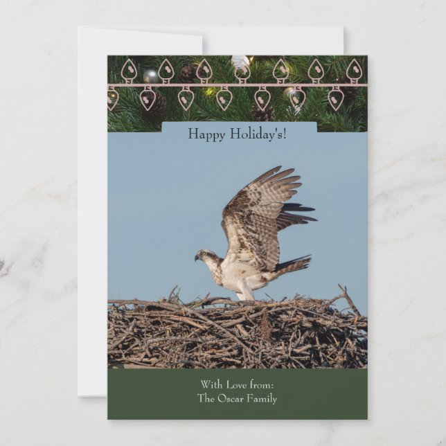 Holiday Card with an Osprey in the nest (Front)
