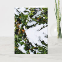 Holiday card with snow on branches