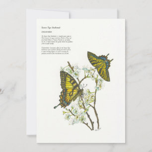 Holiday Cards