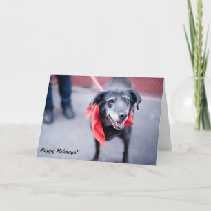 Holiday Cards "Warm holiday wishes"