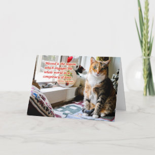 Holiday Cat Greeting Card