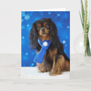 Holiday Cavalier Card