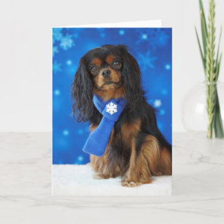 Holiday Cavalier Card
