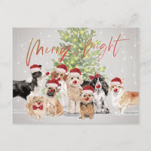 Holiday Christmas Dog Lovers Merry Bright Santa Postcard