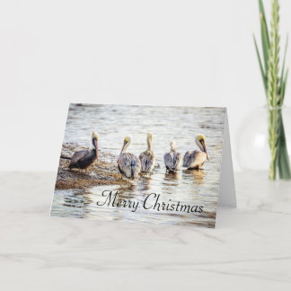 Holiday Coastal Brown Pelicans Thank You Card