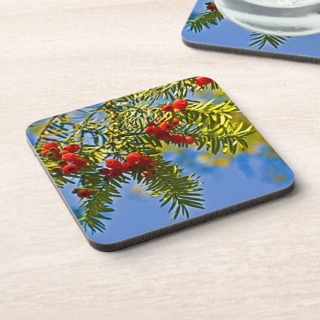 Holiday Conifers Coaster (Left Side)