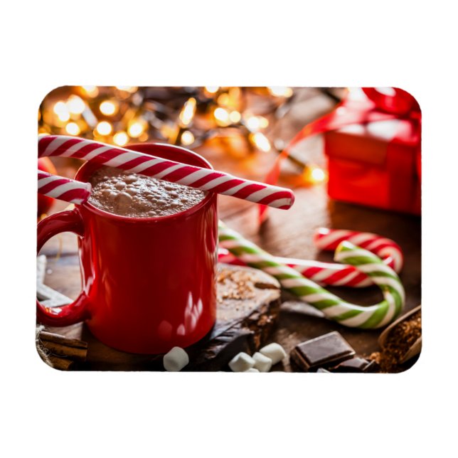 Holiday December 25th White House Christmas Lights Magnet (Horizontal)