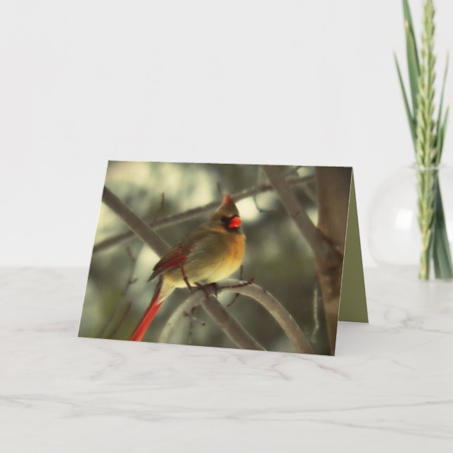 Holiday Female Cardinal Card (Front)