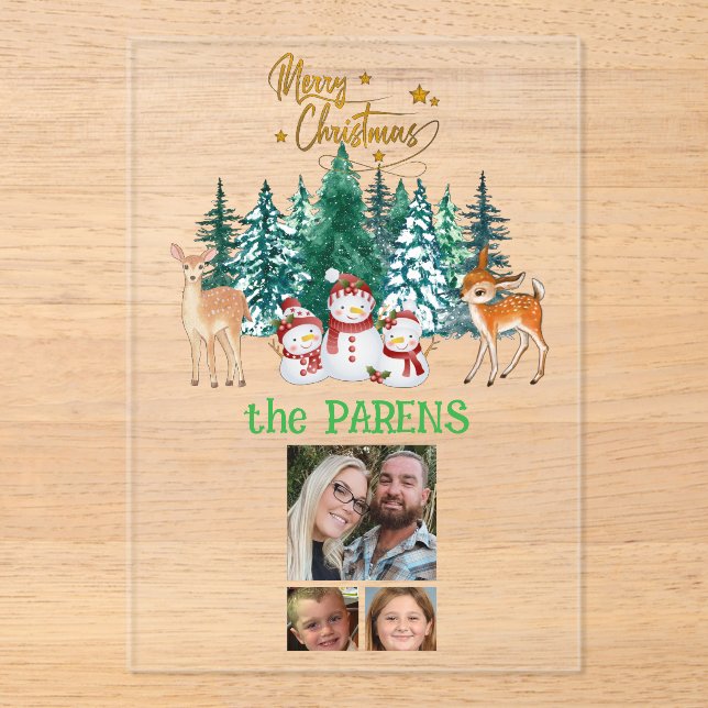 Holiday fun from family acrylic invitations (Front)