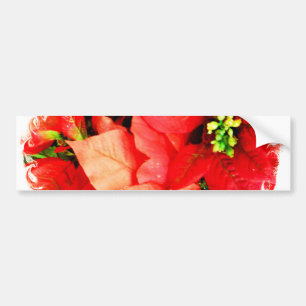 Holiday Gathering Bumper Sticker