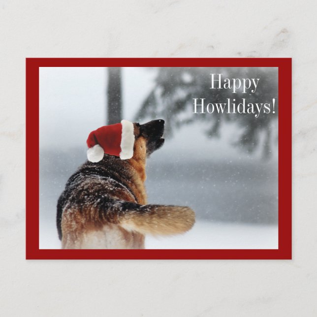 Holiday German Shepherd (Front)
