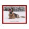 Holiday German Shepherd